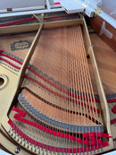 Yamaha G1