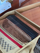Yamaha G1