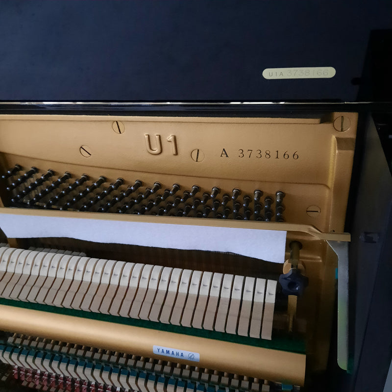 Yamaha U1