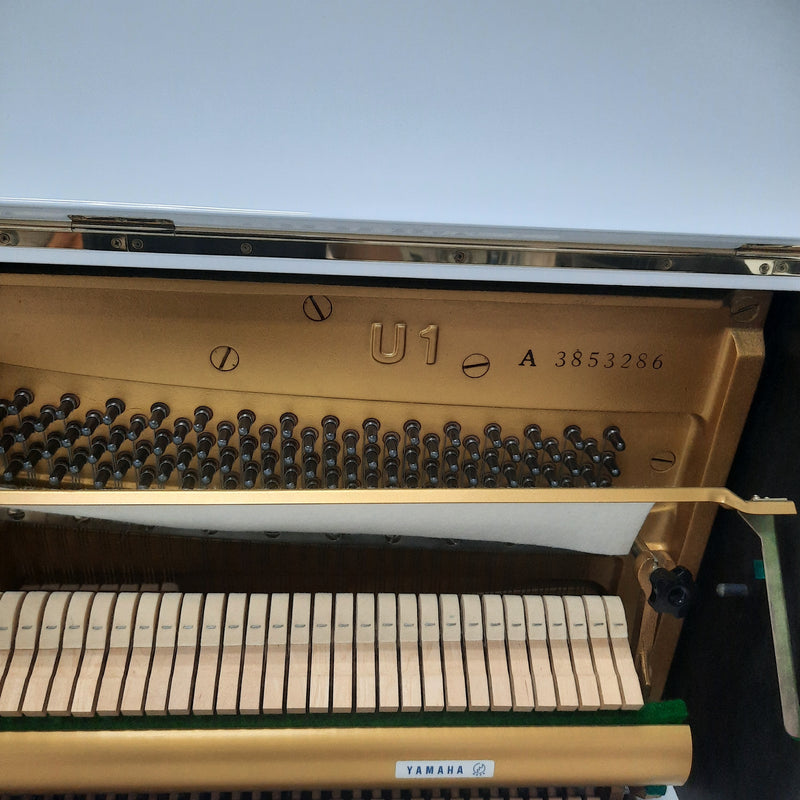 Yamaha U1