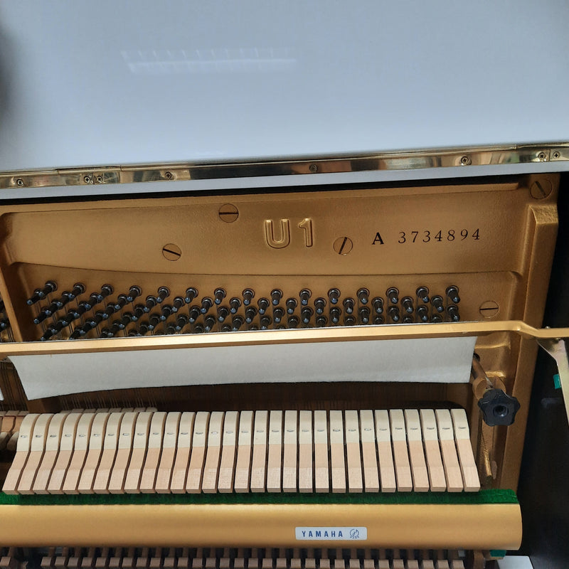 Yamaha U1