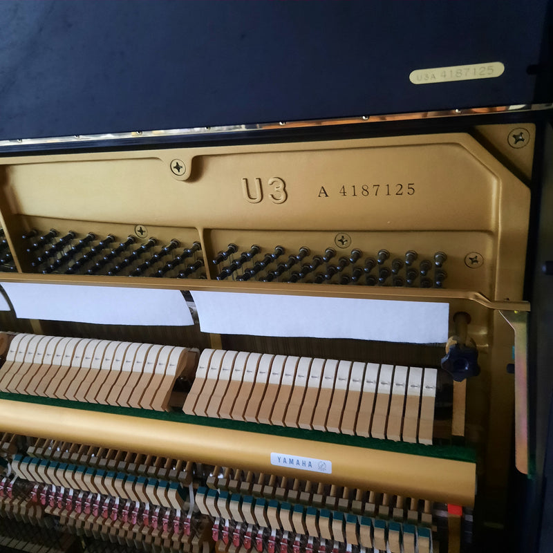 Yamaha U3