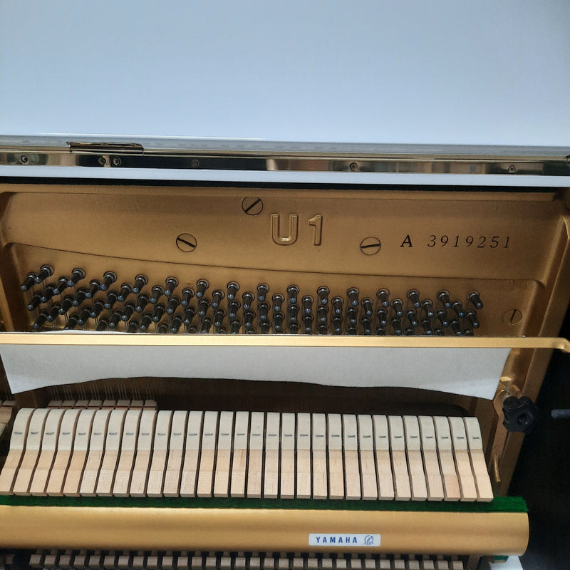 Yamaha U1