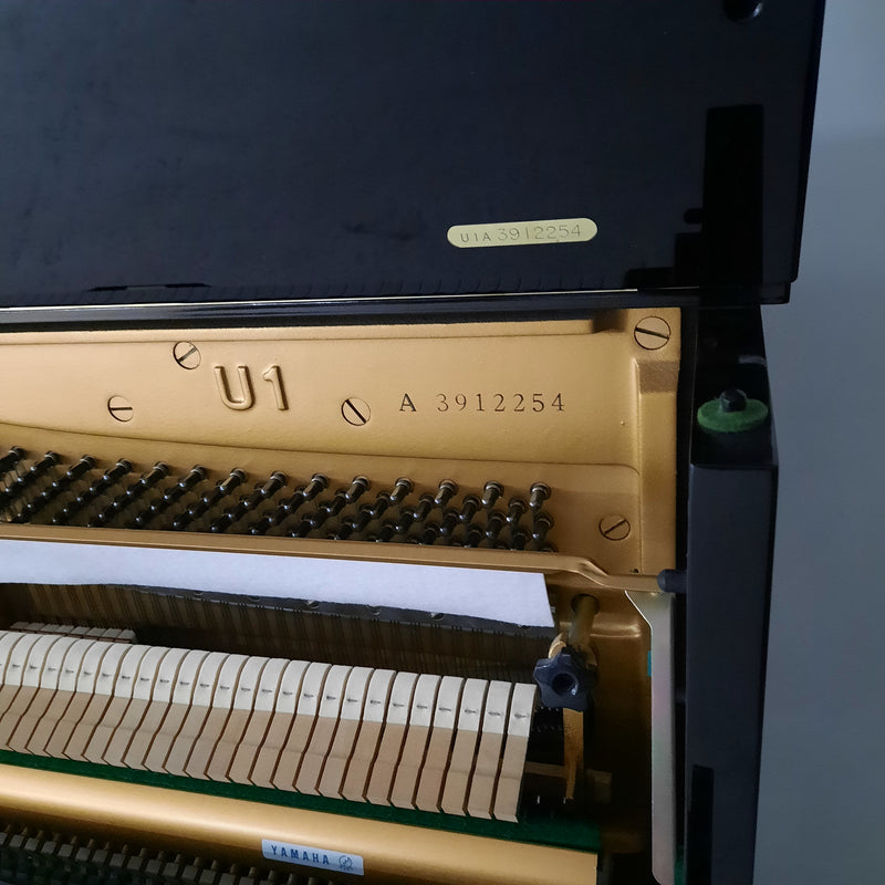 Yamaha U1