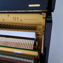 Yamaha U1