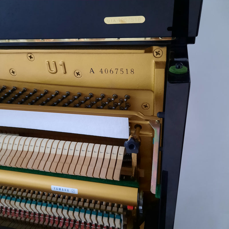Yamaha U1