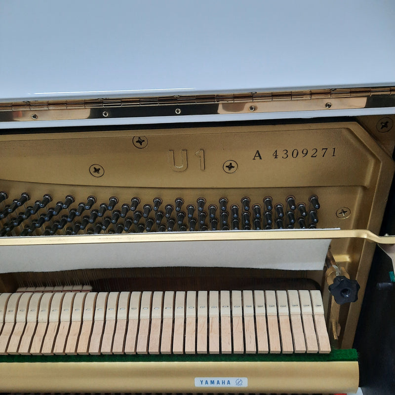 Yamaha U1