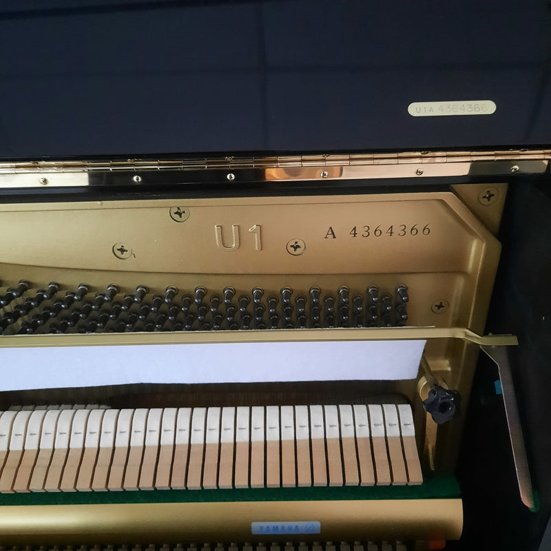 Yamaha U1