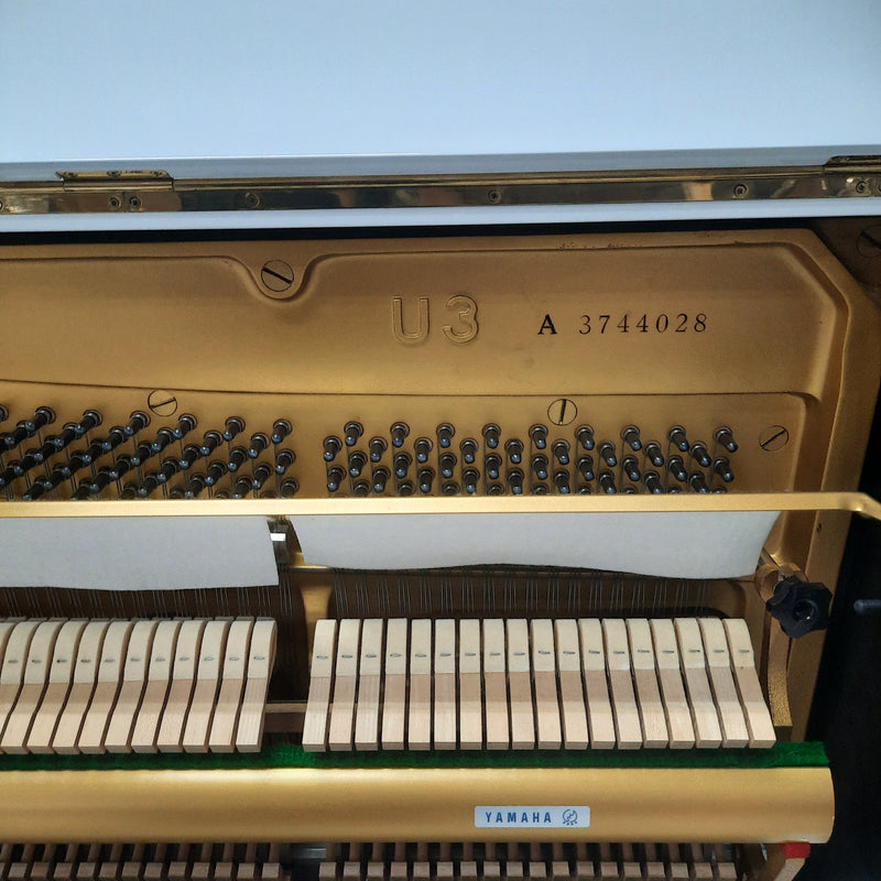 Yamaha U3