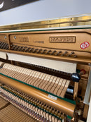 Hyundai U832 Genio SILENT