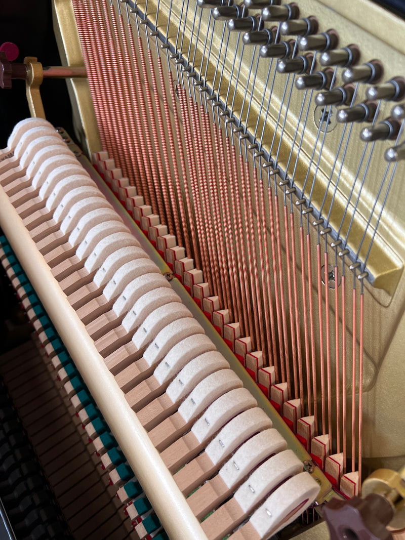 Yamaha YU3S (ORIGINAL SILENT)