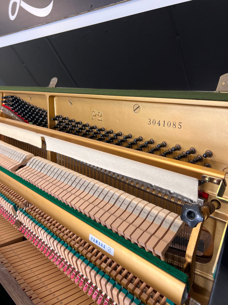 Yamaha P2