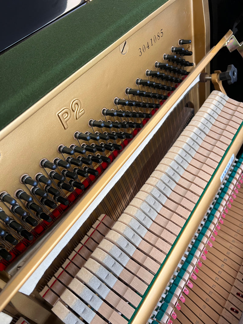 Yamaha P2