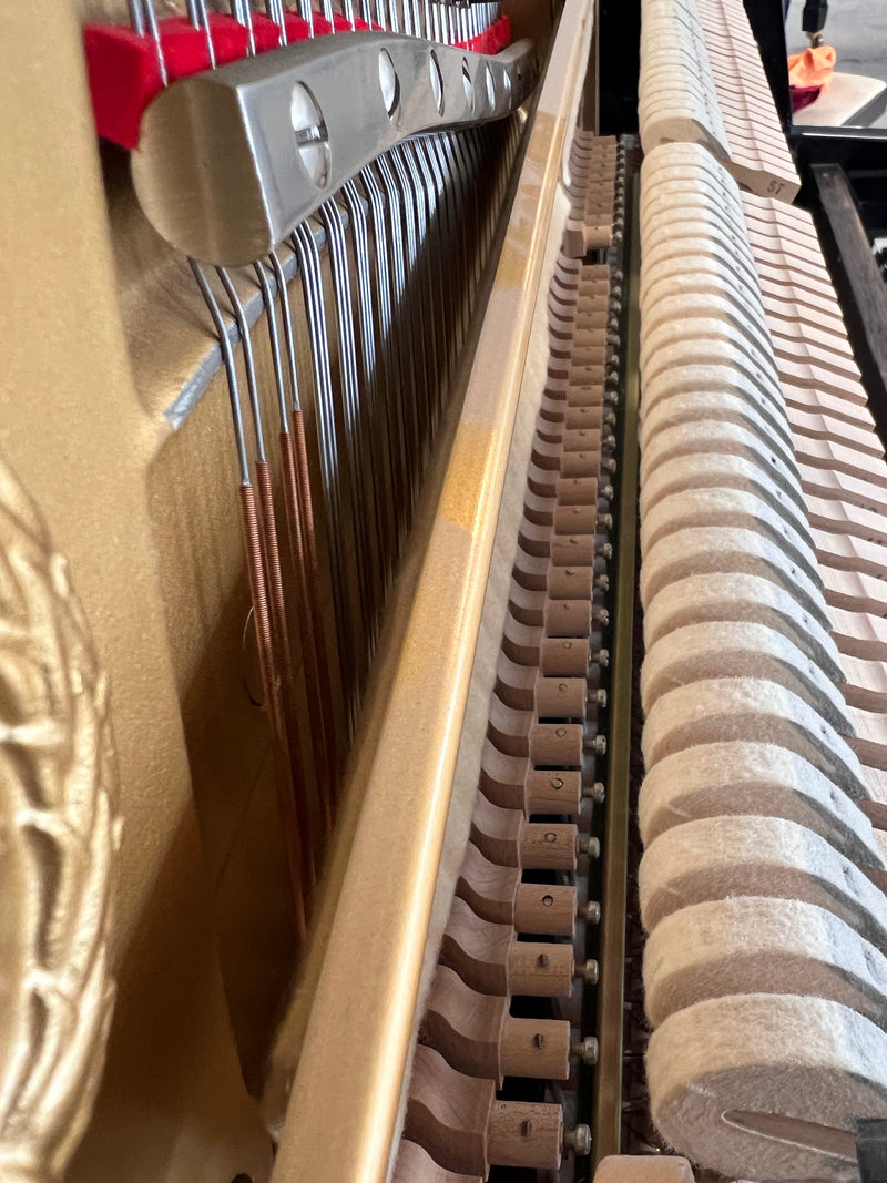 Yamaha P2