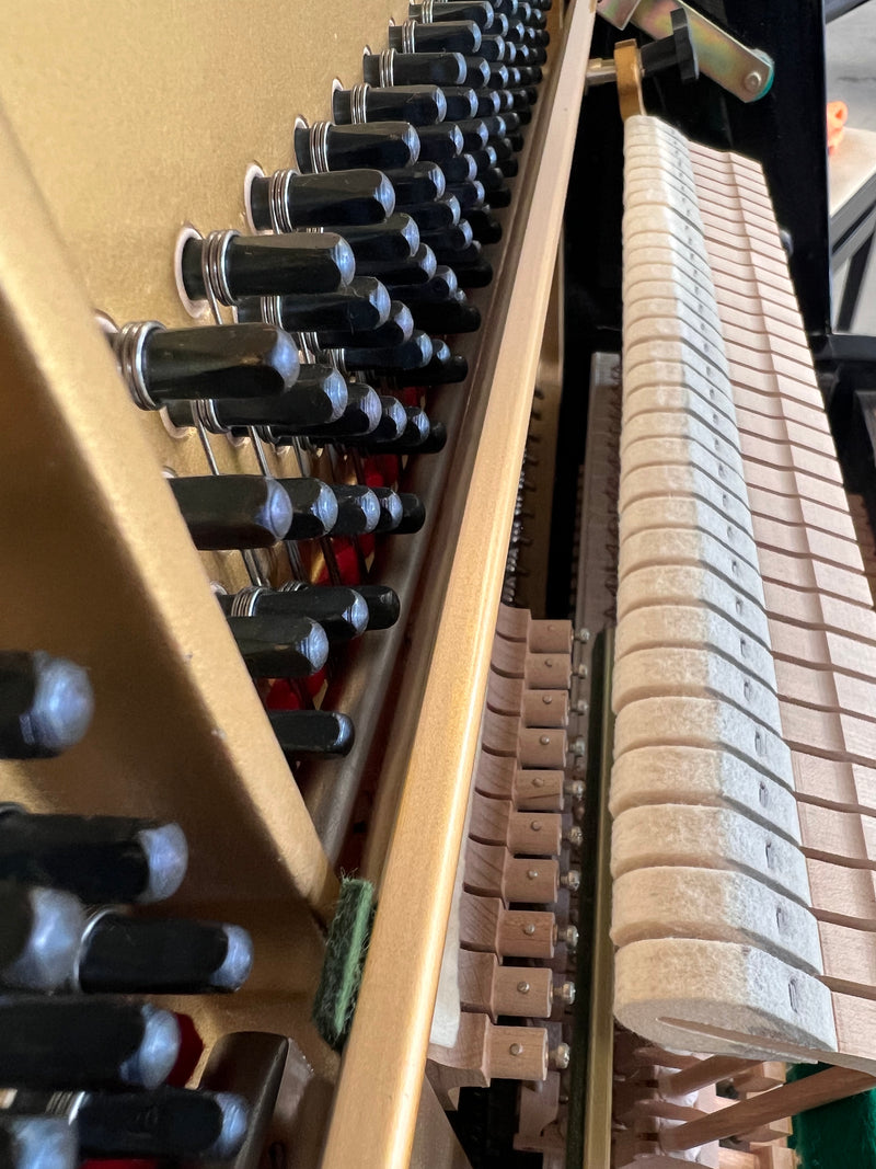 Yamaha P2