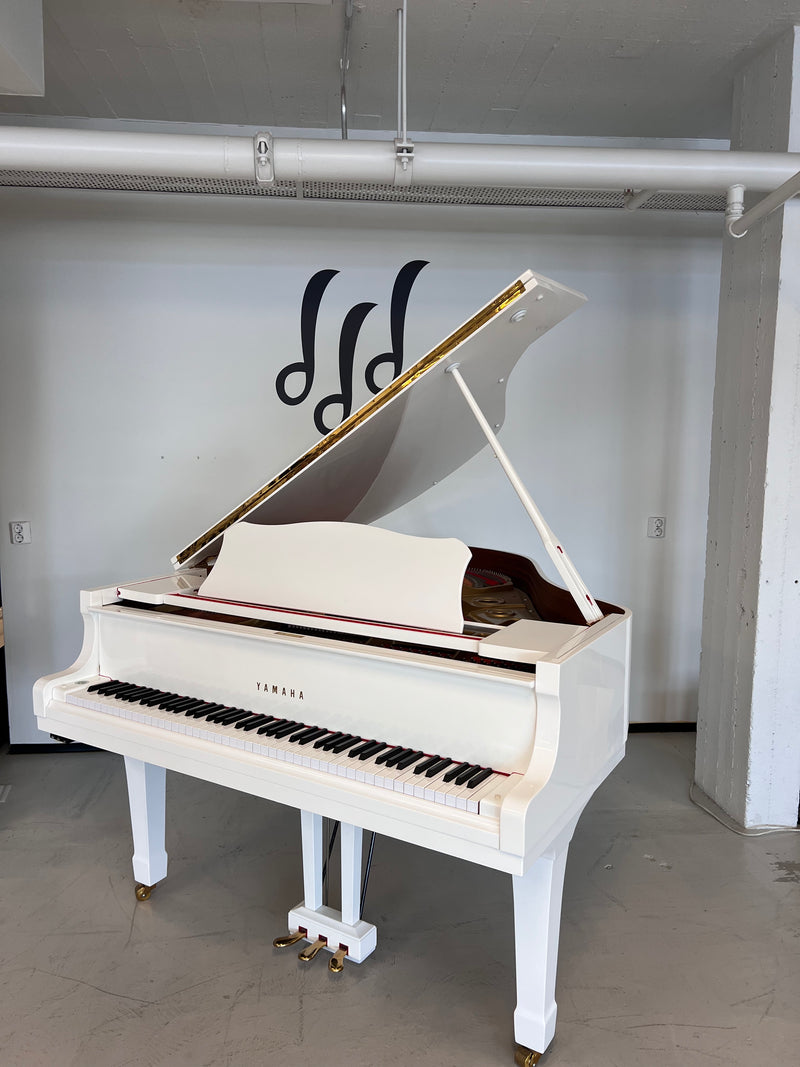 Yamaha G1