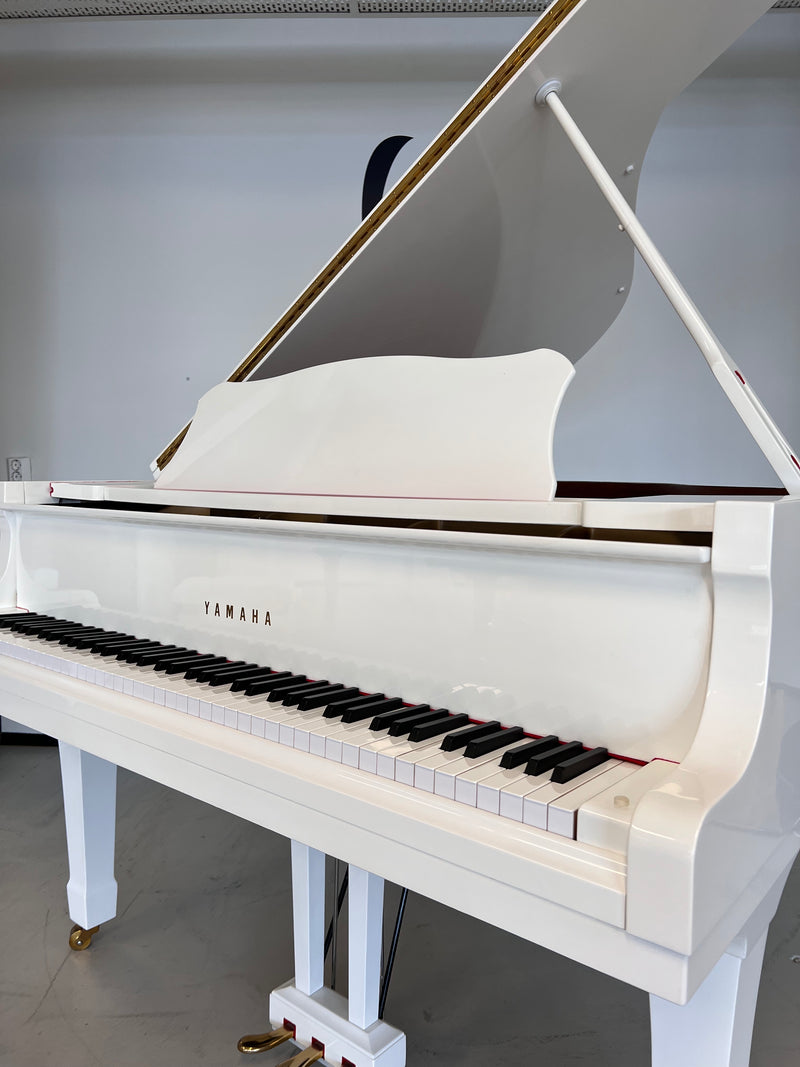 Yamaha G1