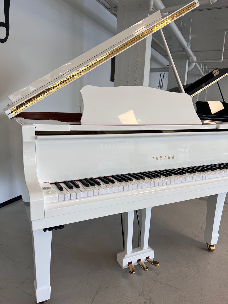 Yamaha G1
