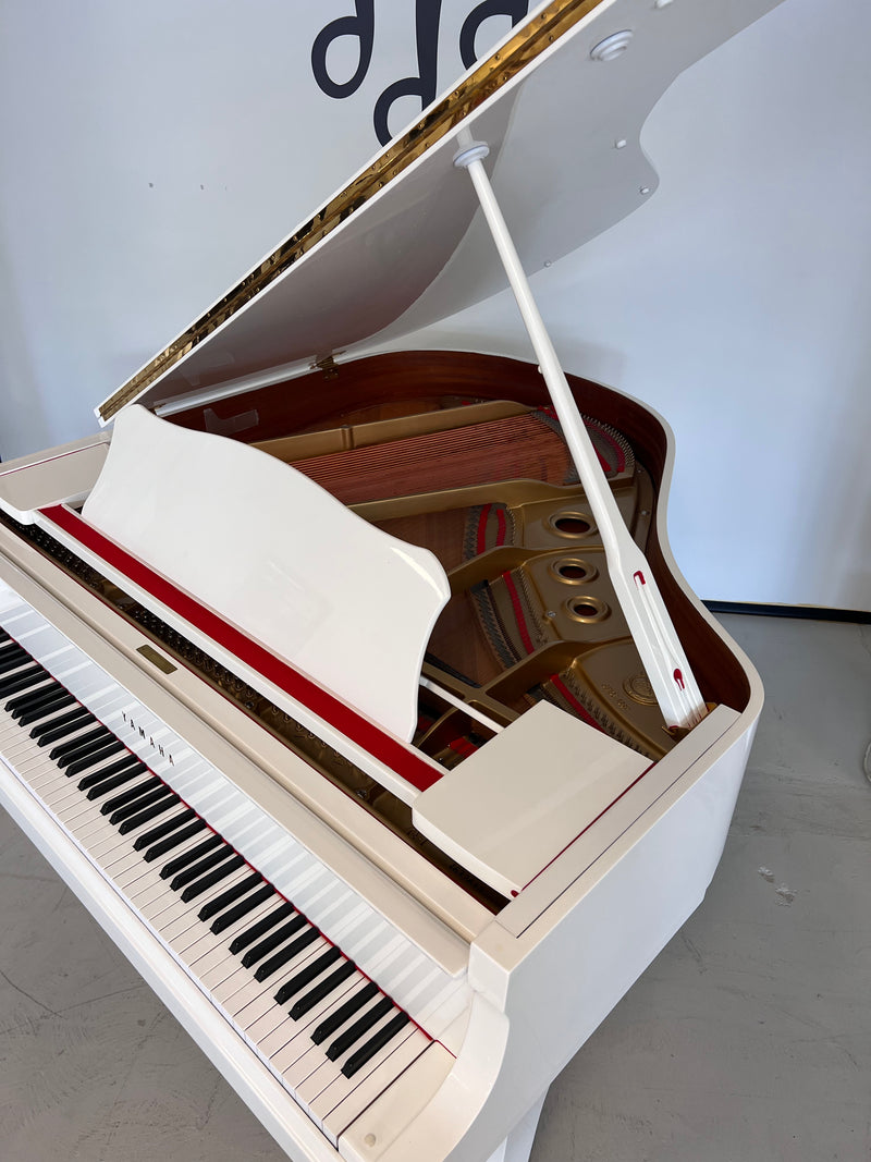 Yamaha G1