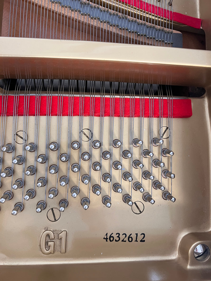 Yamaha G1