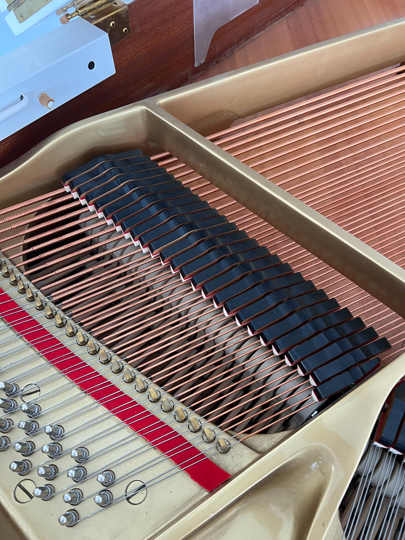 Yamaha G1