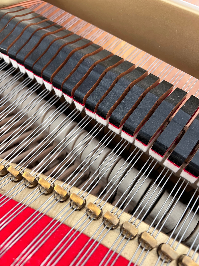 Yamaha G1