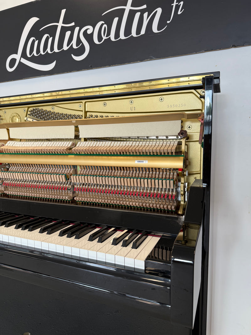 Yamaha U1