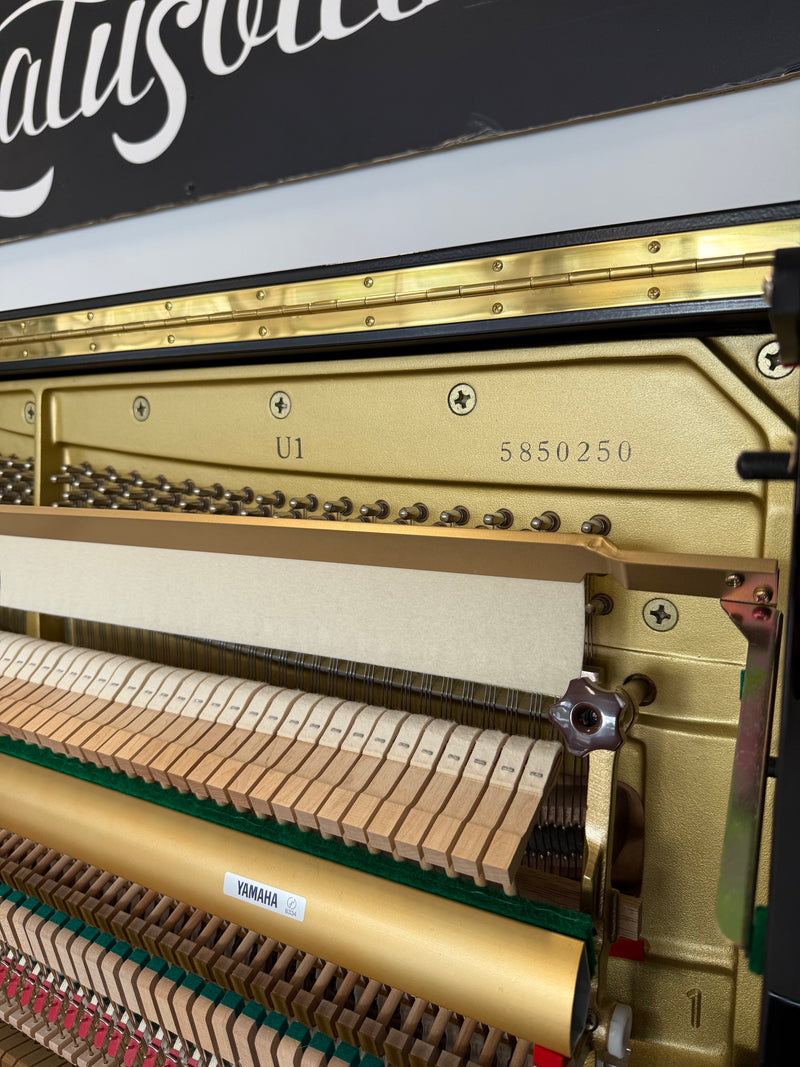 Yamaha U1