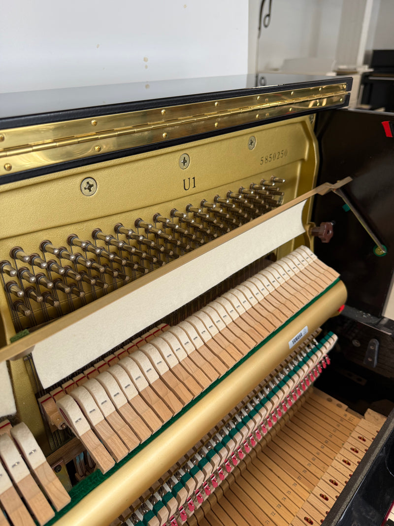 Yamaha U1