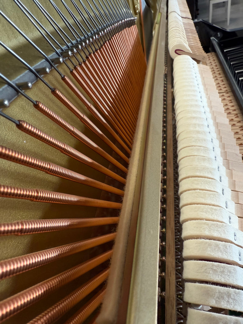 Yamaha U1