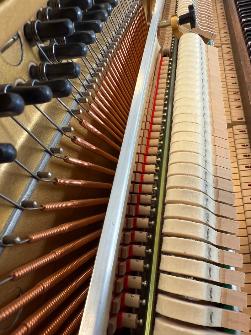 Yamaha M1J