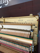 Yamaha P116 Chippendale