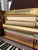 Yamaha P116 Chippendale