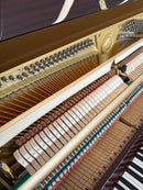 Yamaha P116 Chippendale