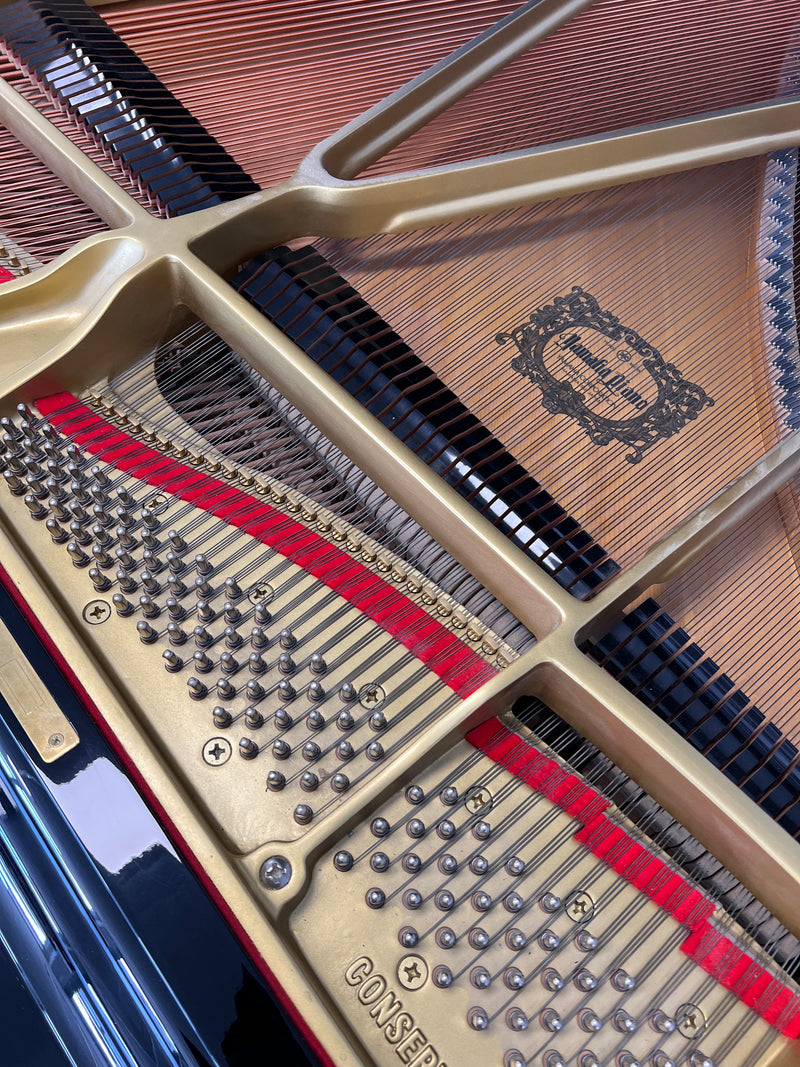 Yamaha C3