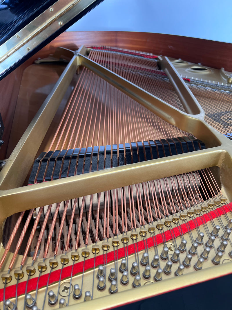 Yamaha C3