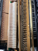 Yamaha U1