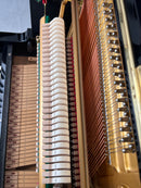 Yamaha U1