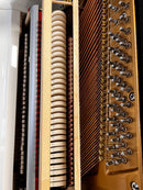 Kreutzer K-123 SILENT