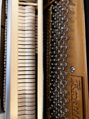 Kreutzer K-123 SILENT