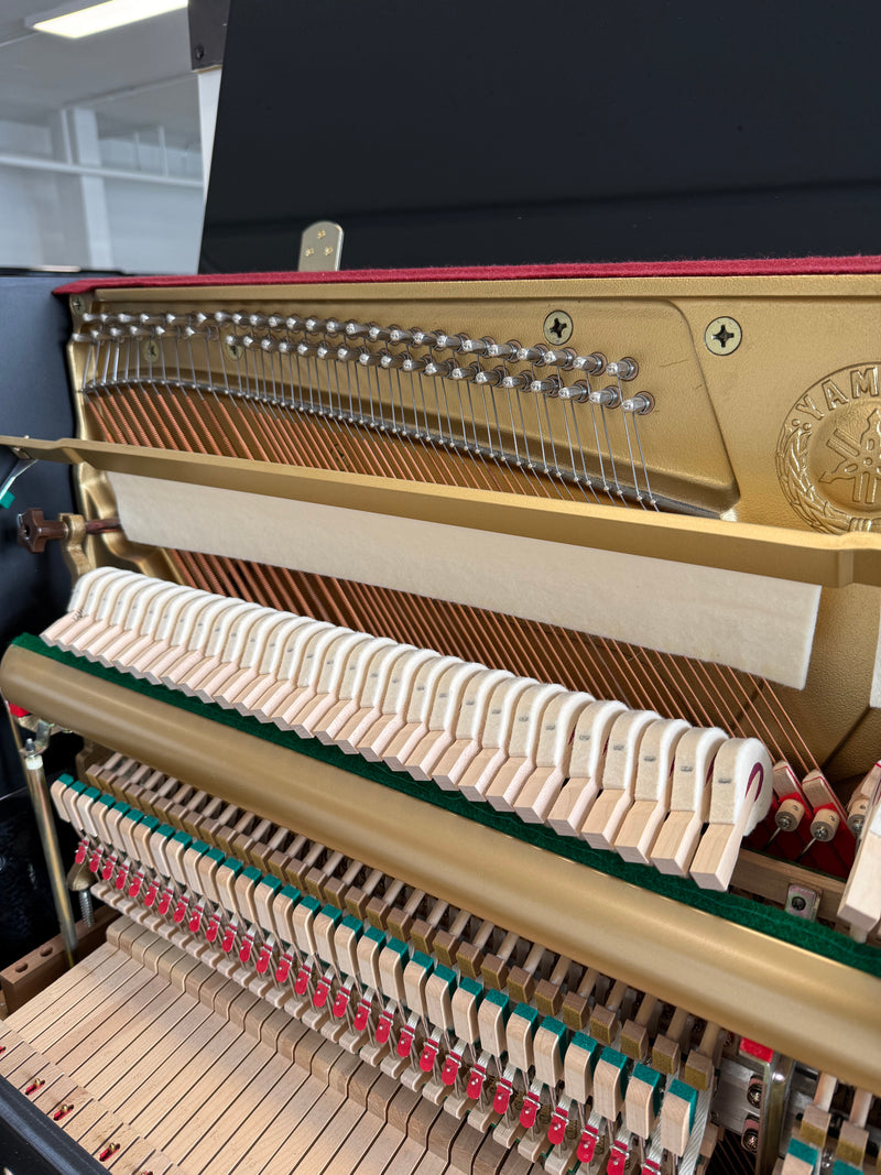 Yamaha B3