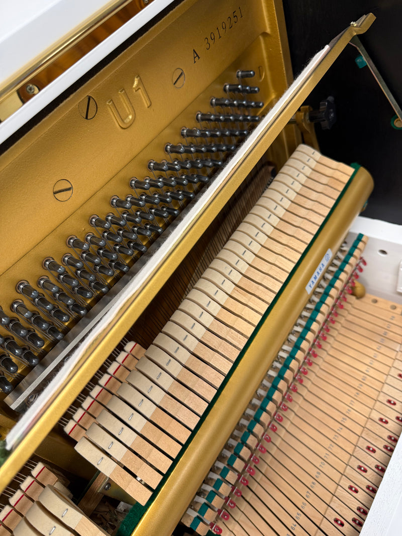 Yamaha U1