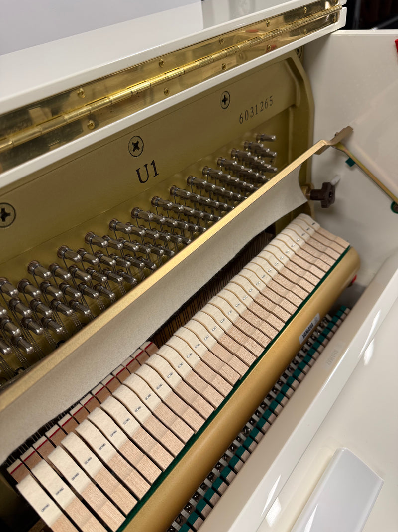 Yamaha U1