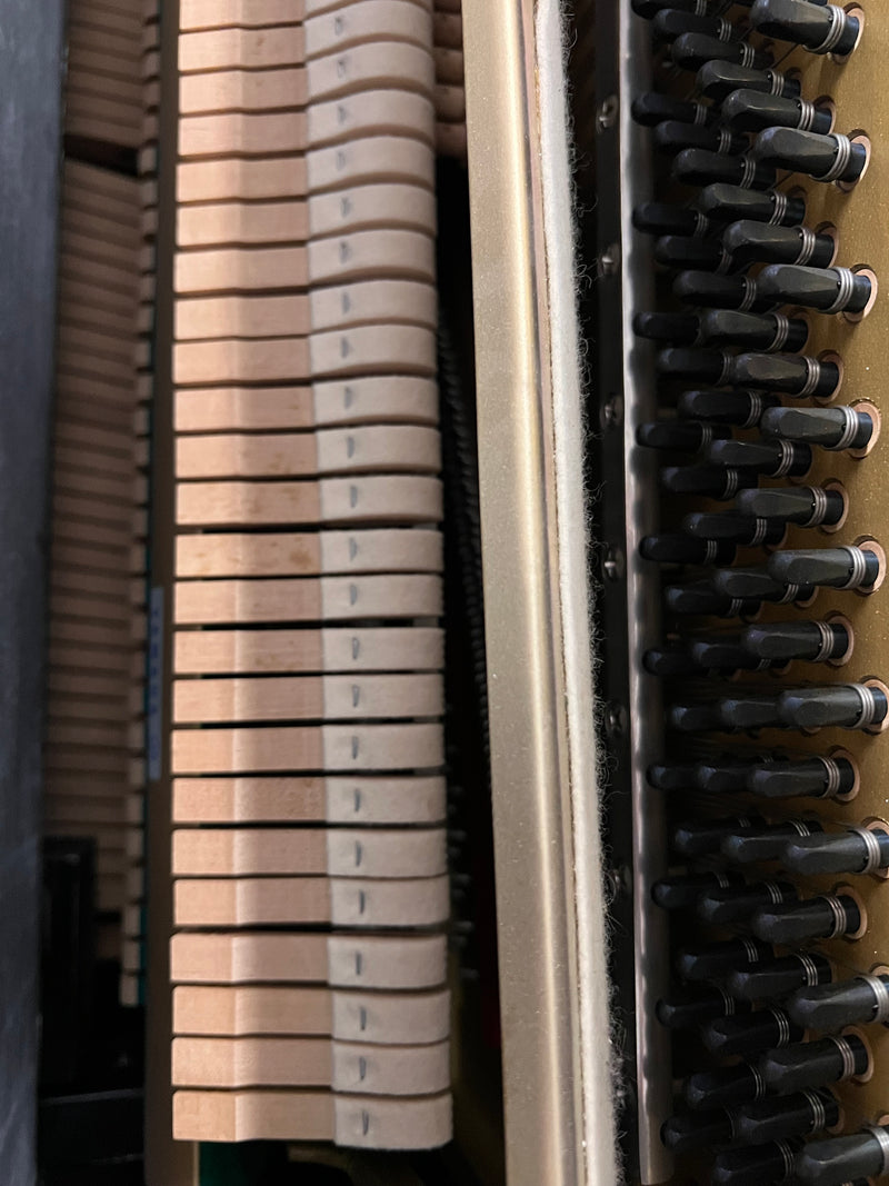 Yamaha U10BL SILENT
