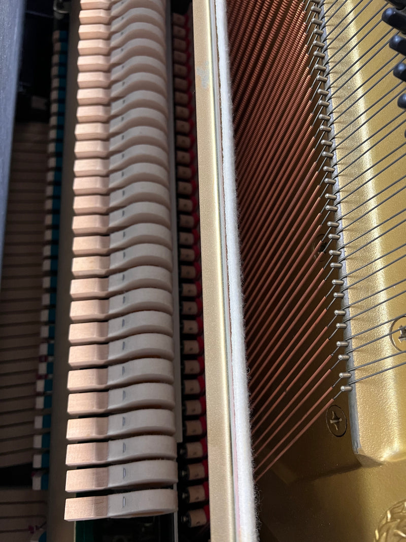 Yamaha U10BL SILENT