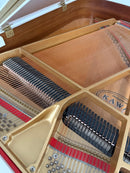 Kawai GL-10wh (SILENT), käytetty flyygeli