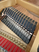 Kawai GL-10wh (SILENT), käytetty flyygeli