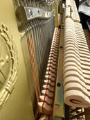 Yamaha YU10SB (ORIGINAL SILENT)