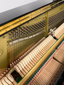 Yamaha YU10 (ORIGINAL SILENT)