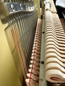 Yamaha YU10 (ORIGINAL SILENT)